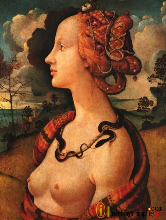 Portrait of Simonetta Vespucci,1480