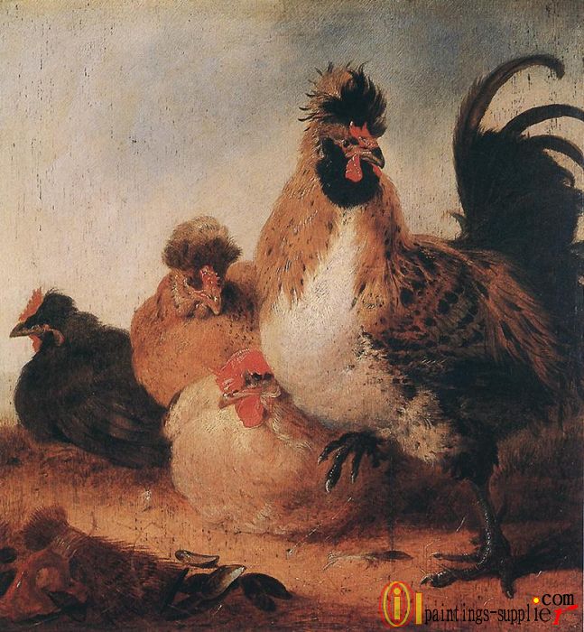 Rooster and Hens