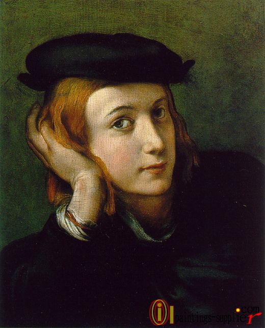 Portrait of a Young Man,1525