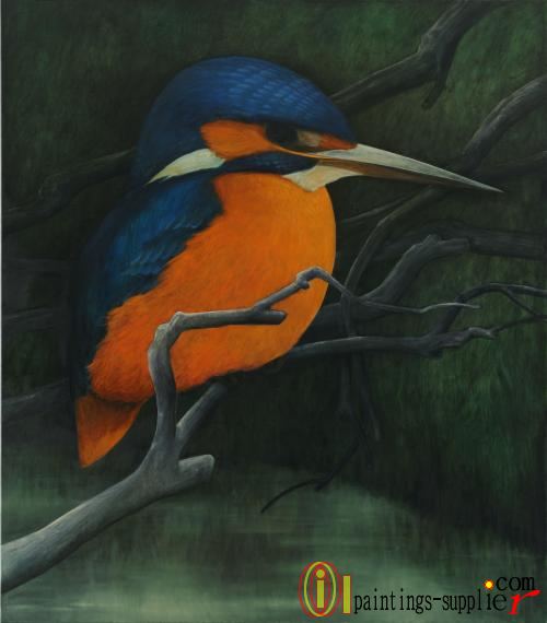 Kingfisher, 2009