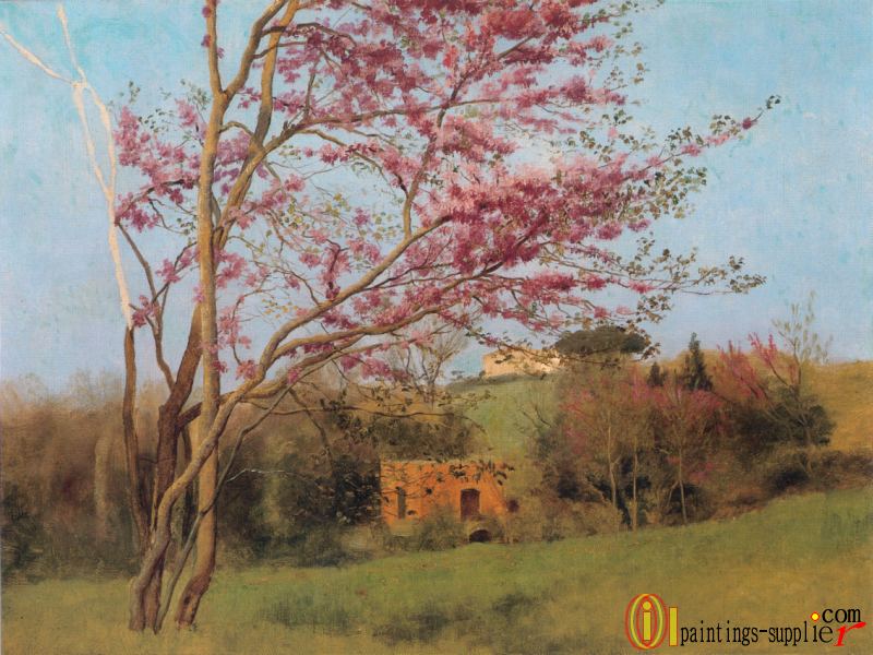 Blossoming Red Almond [study],1912.
