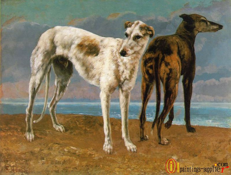 Count de Choiseul's Greyhounds,1866.