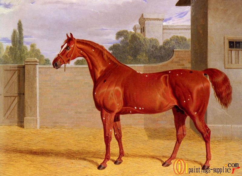 A Chestnut Racehorse in a Stable Yard.