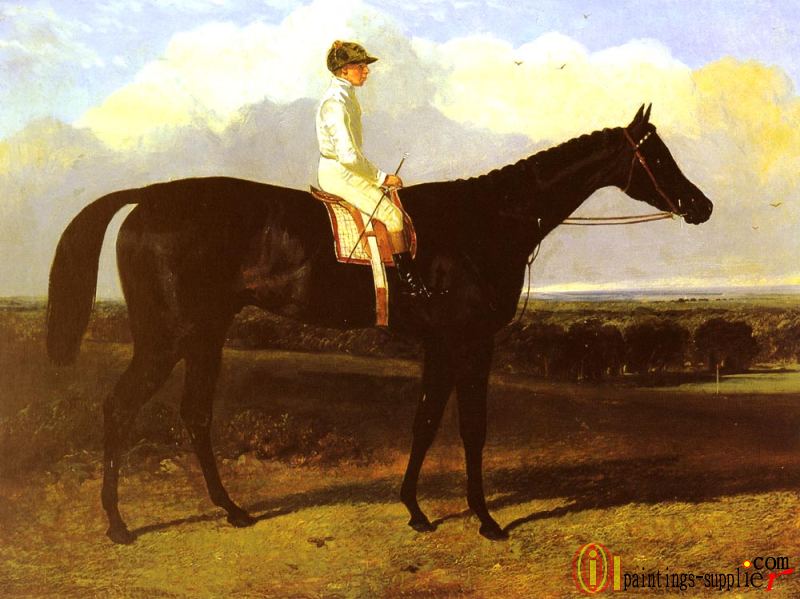 a drak bay Race Horse, at Goodwood, T. Ryder up