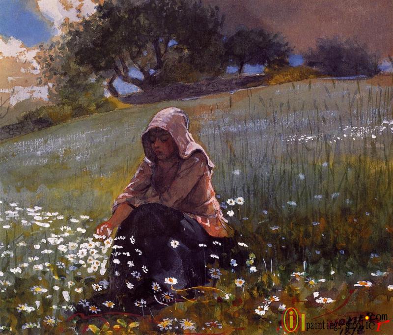 Girl and Daisies