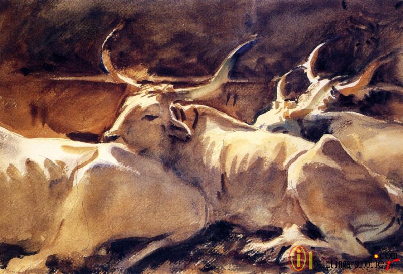 Oxen in Repose.