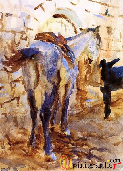 Saddle Horse Palestine
