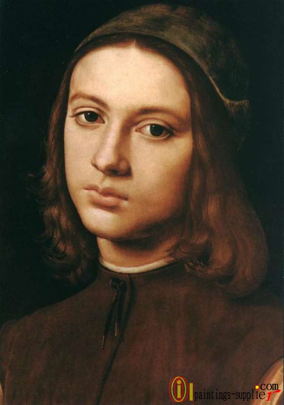 Portrait of a Young Man (detail) ,1495