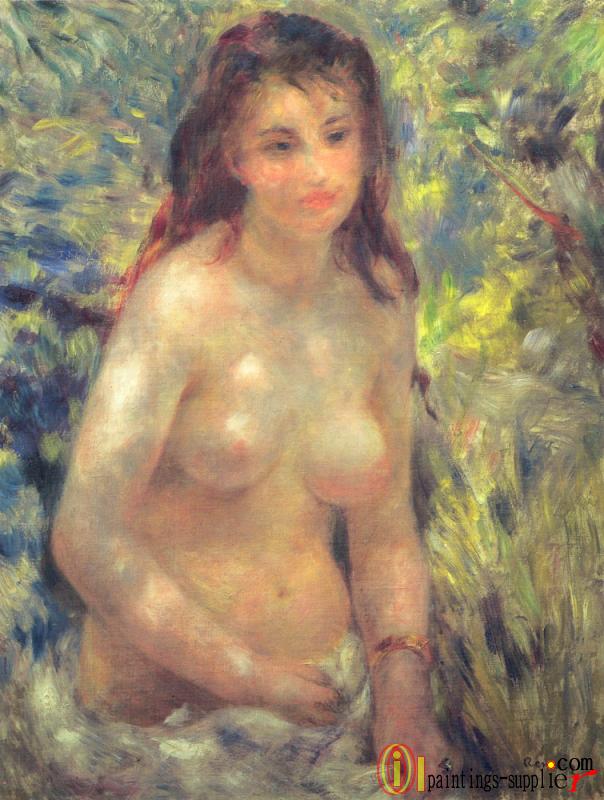 Nude in the Sunlight, 1876