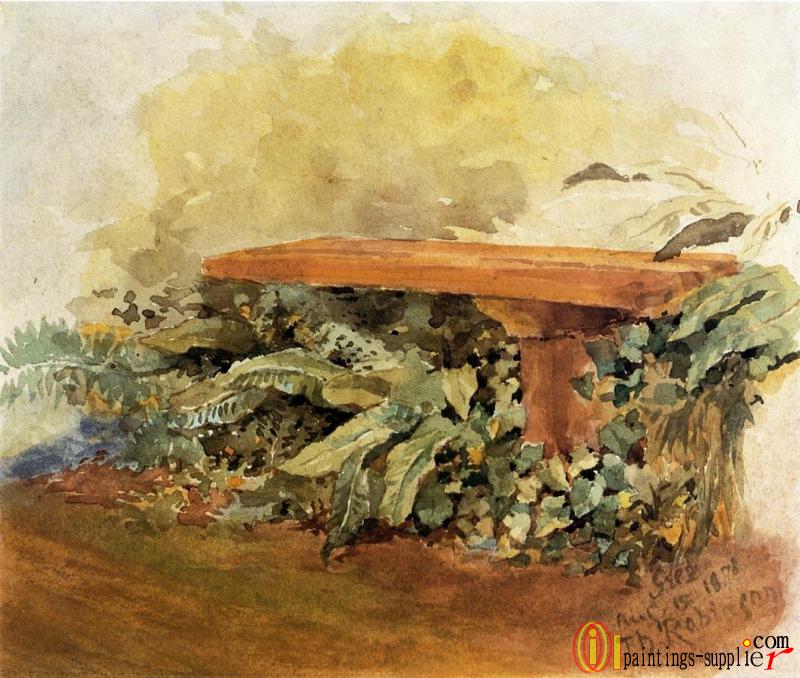 Garden Bench with Ferns