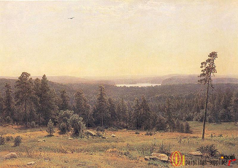 The Forest Horizons ,1884.