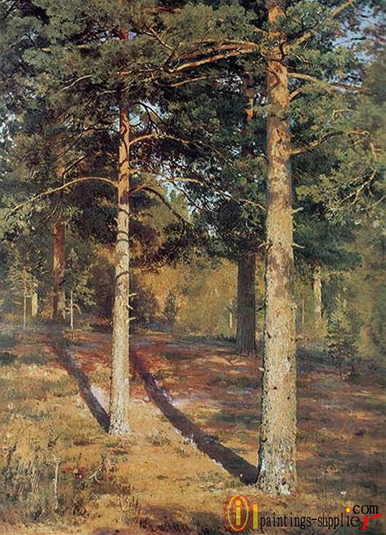 The Sun-lit Pines ,1886