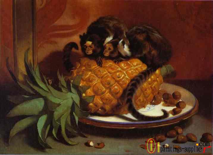 Brazilian Marmosets(1842)