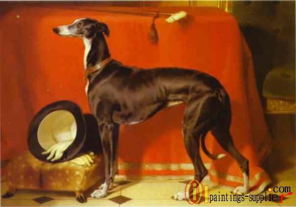 Eos, A Favorite Greyhound, the Property of H.R.H. Prince Albert(1841)