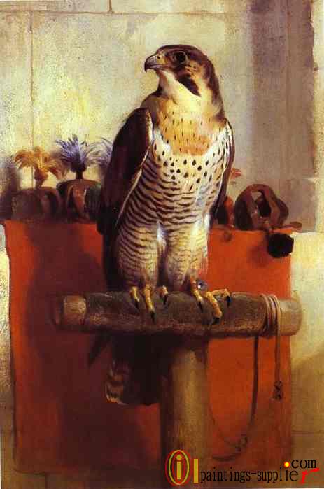 Falcon(1837))