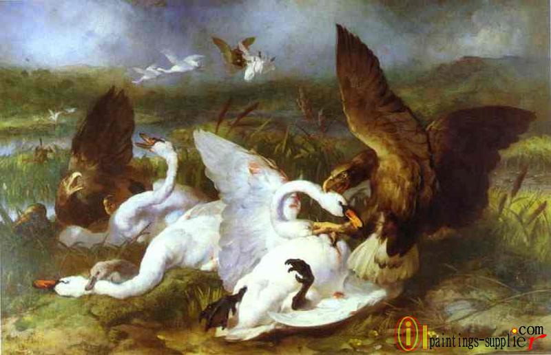 Swannery Invaded by Eagles(1869)