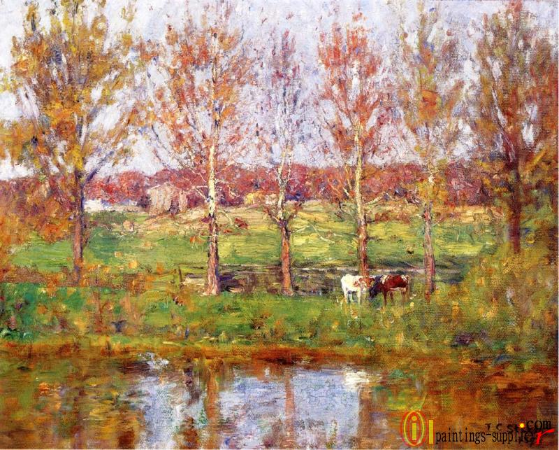 Cows by the Stream