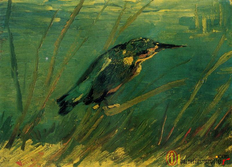 The Kingfisher.