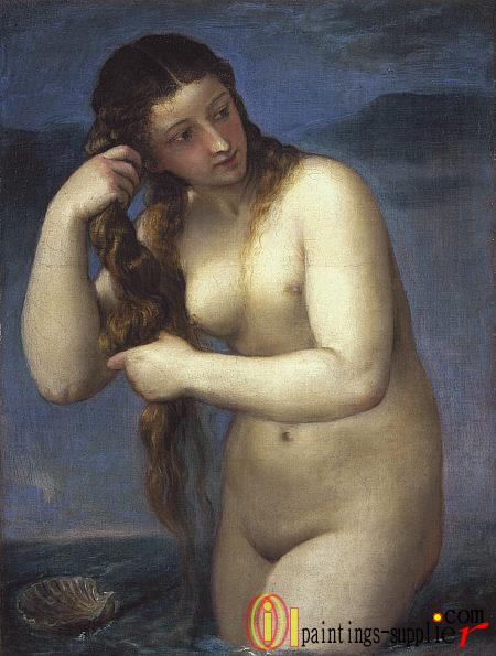 Venus Rising from the Sea ('Venus Anadyomene'),1520