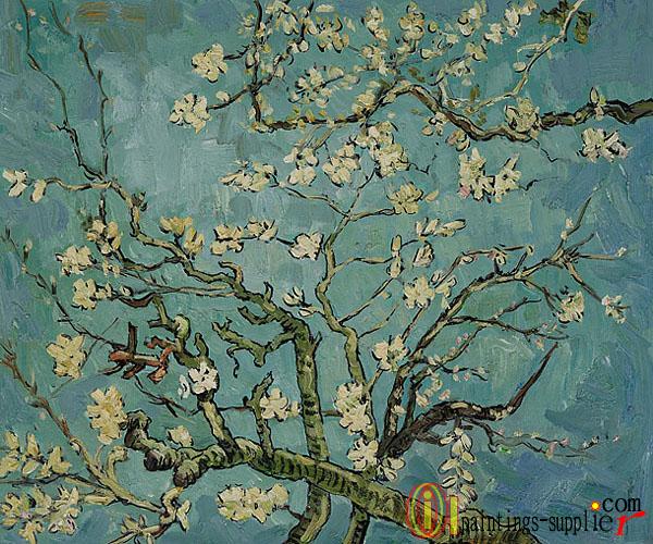 Branches of an Almond Tree in Blossom Gallery Wrap.
