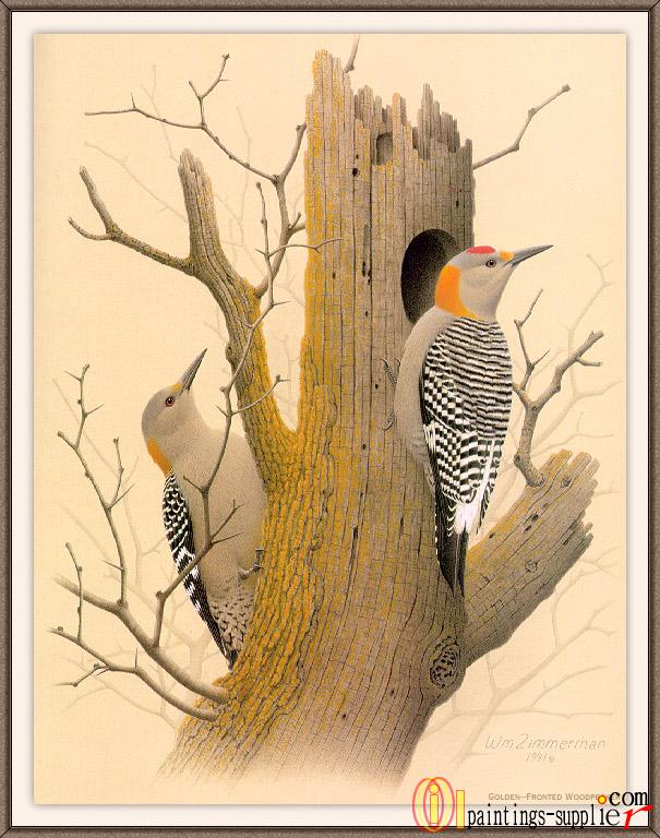 Golden-fronted Woodpecker.