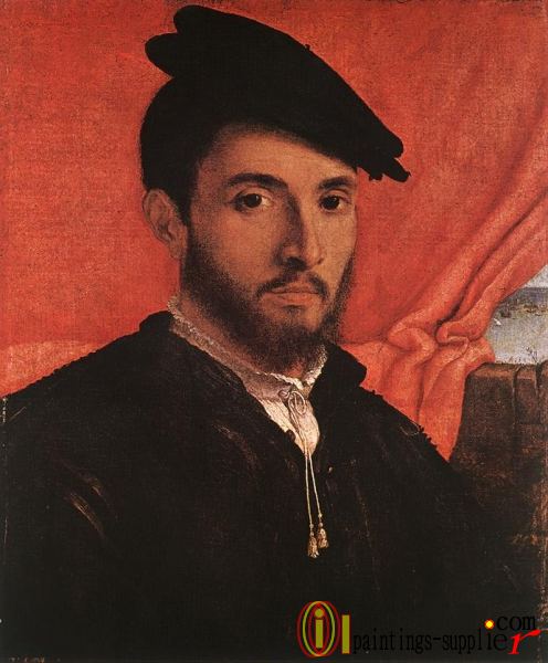 Portrait of a Young Man c1526