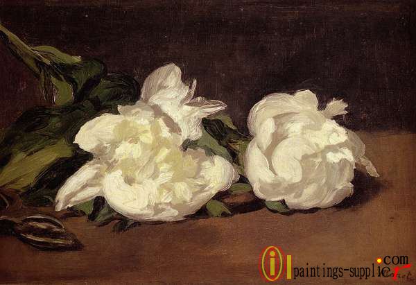 Branch Of White Peonies With Pruning Shears,1864.