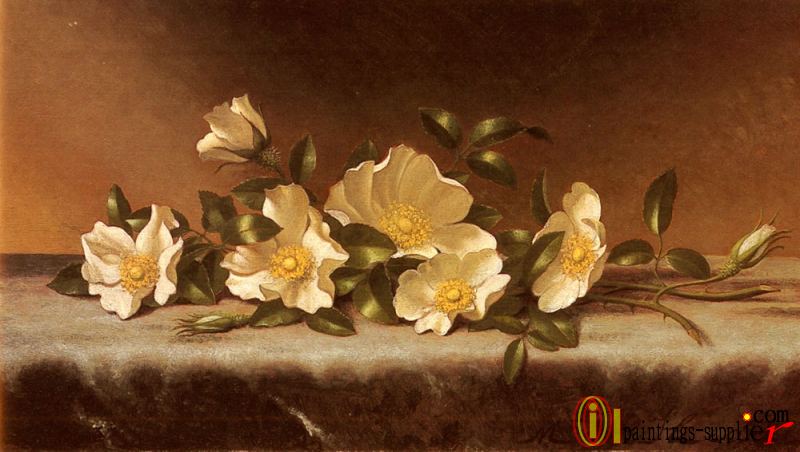 Cherokee Roses On A Light Gray Cloth