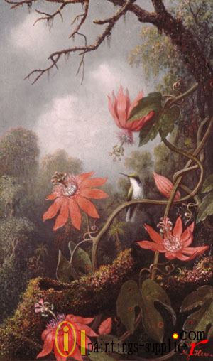 Hummingbird And Passionflowers.