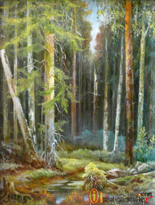 Forest near Tver