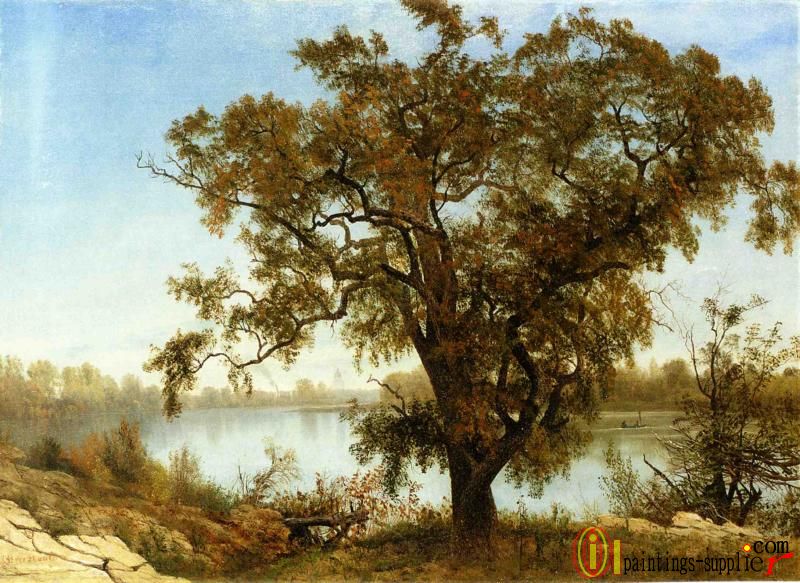 A View from Sacramento,1875