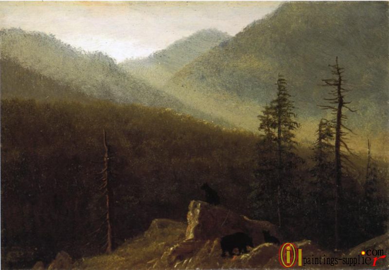 Bears in the Wilderness,1870