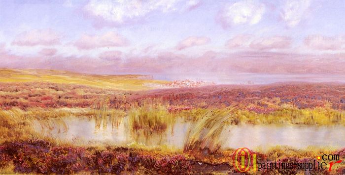 A View Of Whitby From The Moors