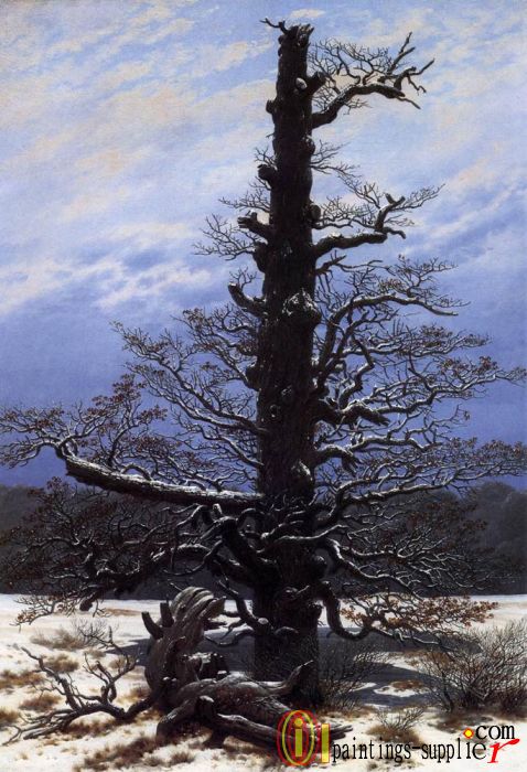 The Oaktree In The Snow