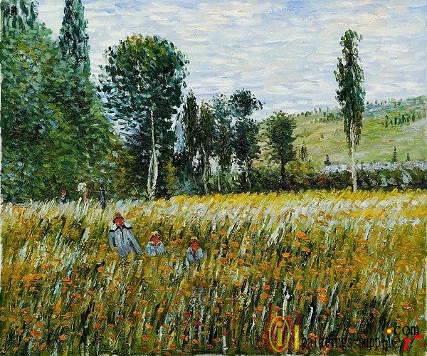 A Meadow, 1879