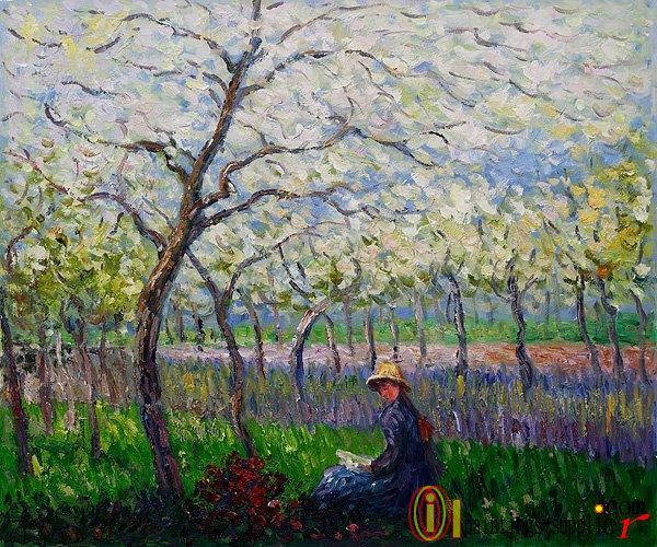 An Orchard in Spring