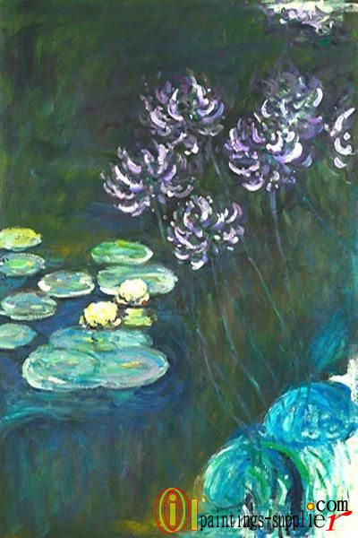 Water Lilies and Agapanthus2