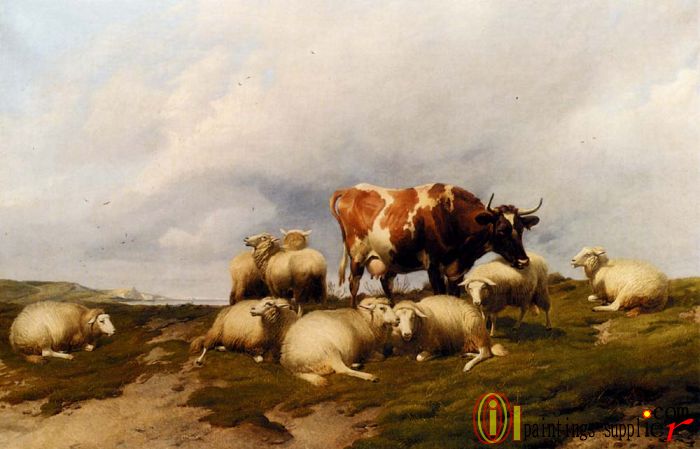 A Cow And Sheep On The Cliffs,1870