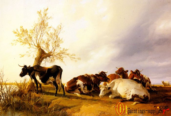 Dairy Cows Resting,1875