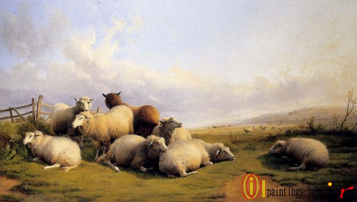 Sheep In An Extensive Landscape,1890
