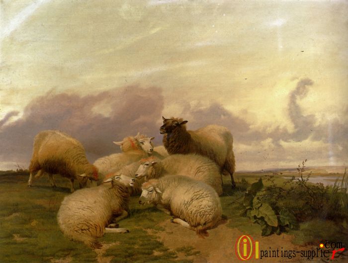 Sheep In Canterbury Water Meadows,1865