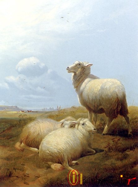 Sheep&Goat